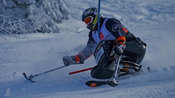 sectionhandi